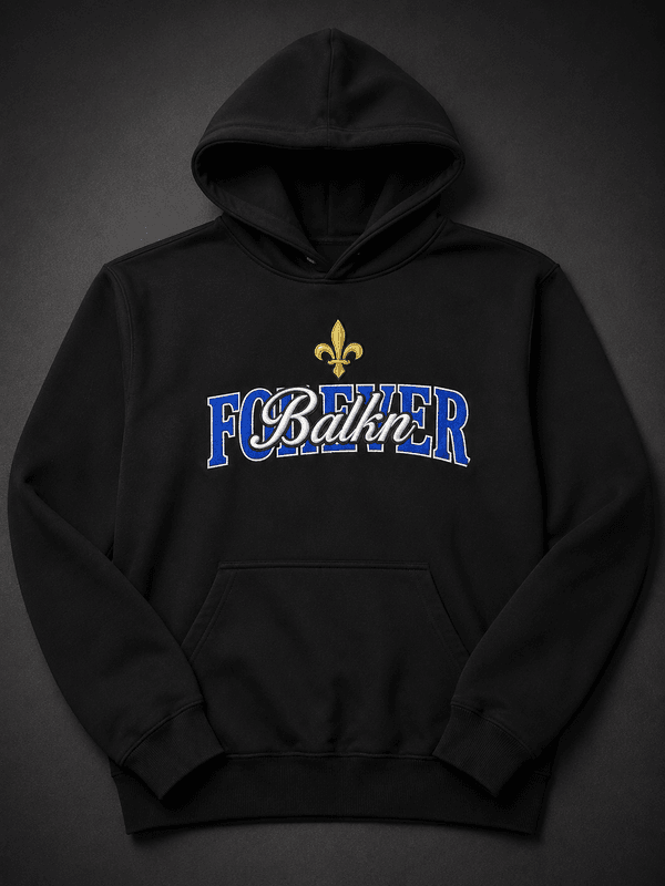 Multi-Patterned Embroidery + Puff Print Hoodie alternate view